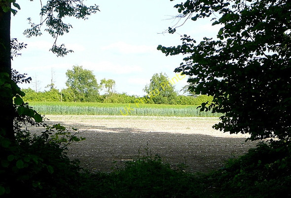 Photo 6"x4" Farmland at Signpost Plantation Popham\/SU5543 c2011