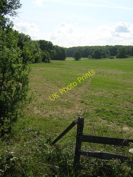 Photo 6"x4" Field off the A217, Burgh Heath Banstead c2011