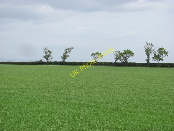 Photo 6"x4" Arable land, West Seton Mains Cockenzie and Port Seton c2011