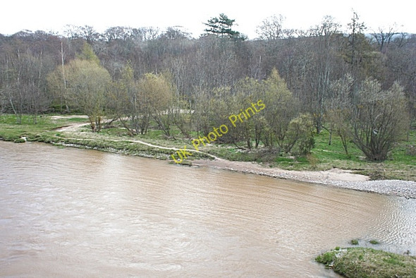 Photo 6"x4" River Spey in Spate Fochabers c2008
