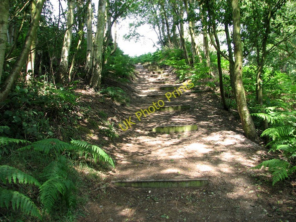 Photo 6"x4" Steps leading down to the marshes from Herringfleet Hills Herringfleet c2011