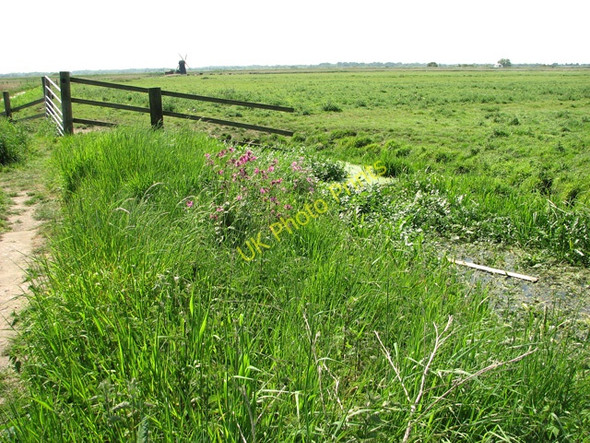 Photo 6"x4" Marsh pastures north of the River Waveney, Herringfleet Herringfleet c2011