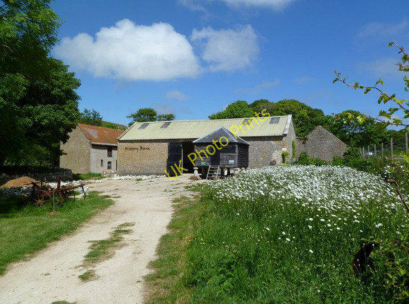 Photo 6"x4" Tyneham, History Barn Tyneham c2011