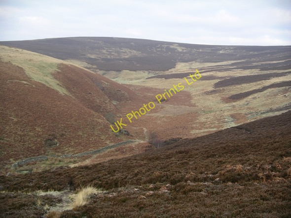 Photo 6"x4" Snails Cleugh, Bothwell Hill Cranshaws c2006
