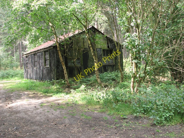 Photo 6"x4" Rusty old shed in Waveney Forest Fritton\/TG4600 c2011