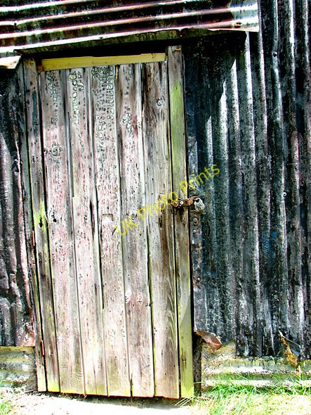 Photo 6"x4" Weathered old shed door, Waveney Forest Fritton\/TG4600 c2011