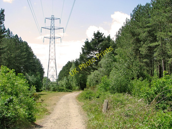 Photo 6"x4" Electricity pylons in Waveney Forest Fritton\/TG4600 c2011