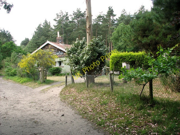 Photo 6"x4" East Suffolk line through Waveney Forest - Forest Lodge Fritton\/TG4600 c2011