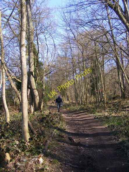 Photo 6"x4" The Hollies Way Uffington\/SJ5213 c2011
