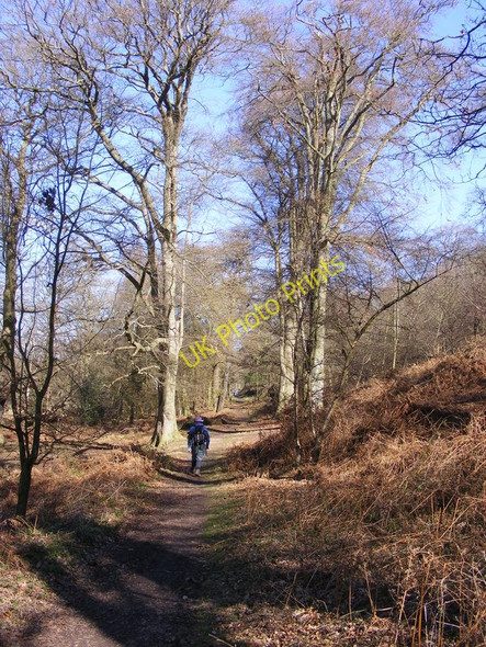 Photo 6"x4" Uphill on the Shropshire Way Uffington\/SJ5213 c2011