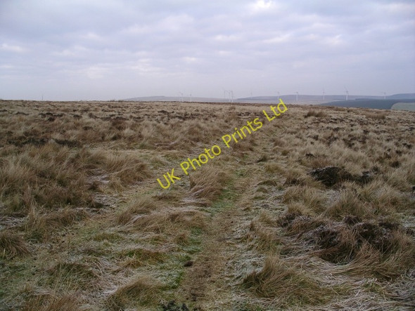 Photo 6"x4" Track, Bothwell Hill Bothwell Water c2006