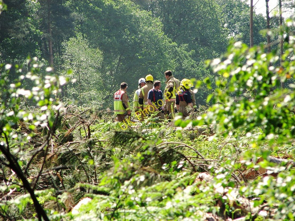 Photo 6"x4" Fire fighters re-grouping in Fritton Wood Fritton\/TG4600 c2011