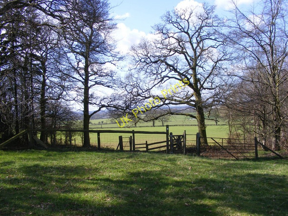 Photo 6"x4" Footpath Gate Ebreywood c2011