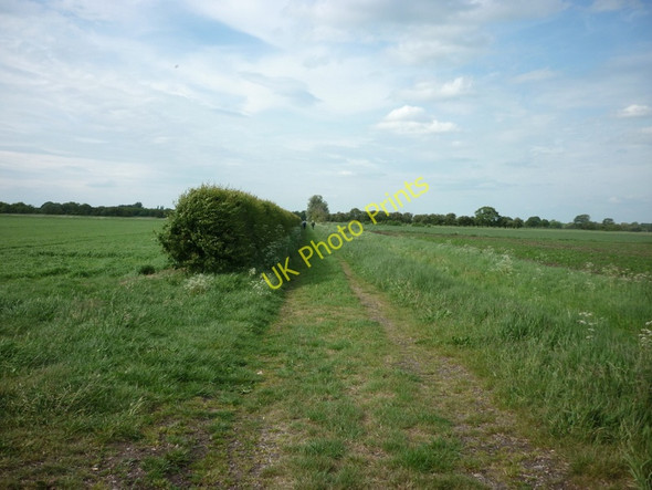 Photo 6"x4" A farm track leading to Epworth Turbary Epworth Turbary c2011