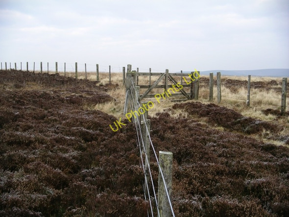 Photo 6"x4" Gate and fences, Bothwell Hill. Cranshaws c2006