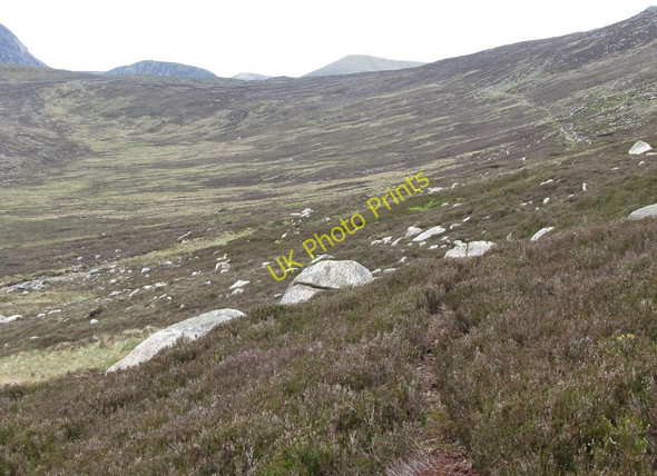 Photo 6"x4" The head of the Spences Valley Annalong c2011