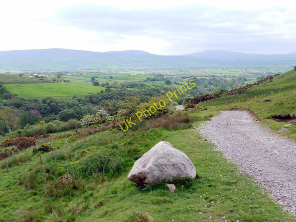 Photo 6"x4" Hillside above Swindale Wood Helbeck c2011