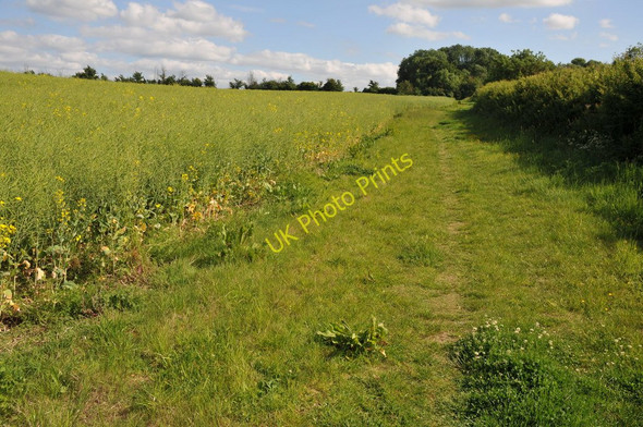 Photo 6"x4" Footpath to Harrowdown Hill Longworth\/SU3999 c2011