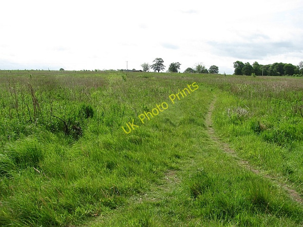 Photo 6"x4" Unused field, Seton Cockenzie and Port Seton c2011