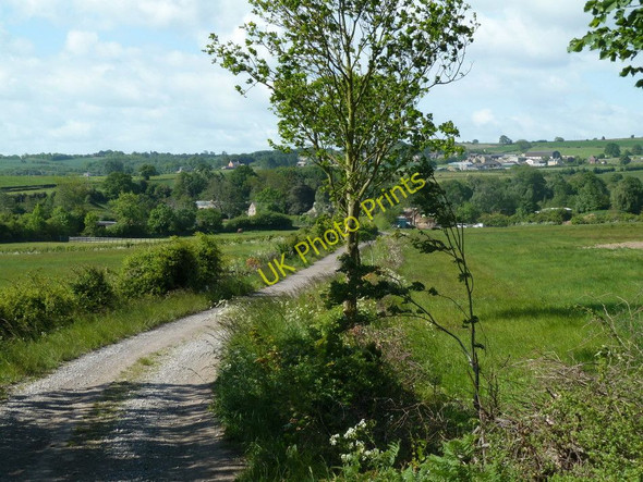 Photo 6"x4" Farm track from Monkwood Farm Barlow\/SK3474 c2011
