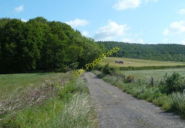 Photo 6"x4" Track towards woodland and Monkwood Farm Barlow\/SK3474 c2011