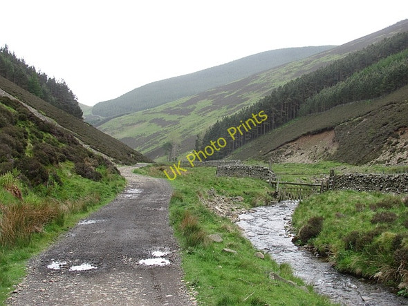 Photo 6"x4" Gate Hope Walkerburn c2011