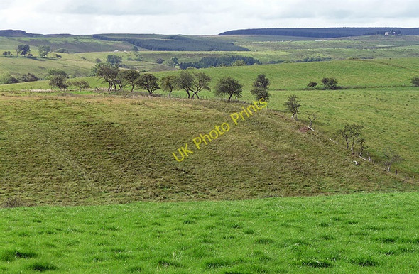 Photo 6"x4" Wark Common near Wark (2) Wark\/NY8677 c2010