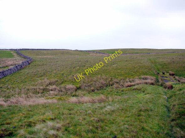 Photo 6"x4" Path over rough grassland north of Thornthwaite Helbeck c2011