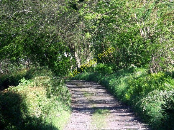 Photo 6"x4" Bannock Burn Valley Borestone c2011
