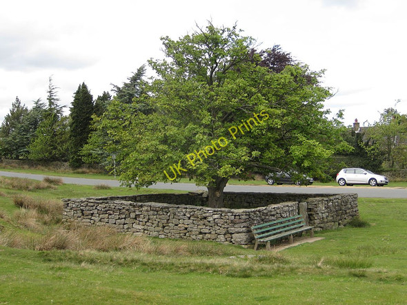 Photo 6"x4" Jubilee tree, Goathland Goathland c2011