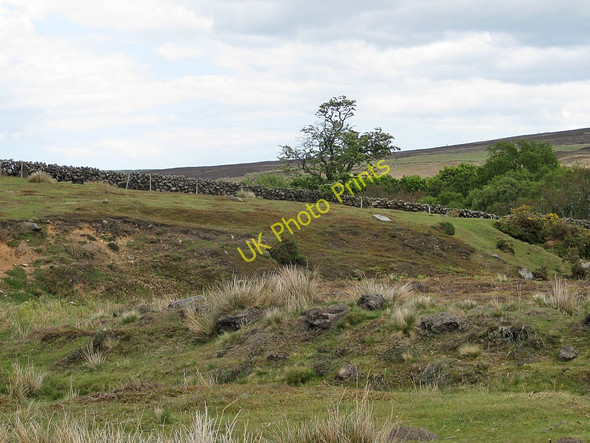 Photo 6"x4" Moorland landscape Goathland c2011