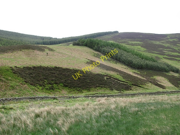 Photo 6"x4" Ridge above Early Hope Walkerburn c2011