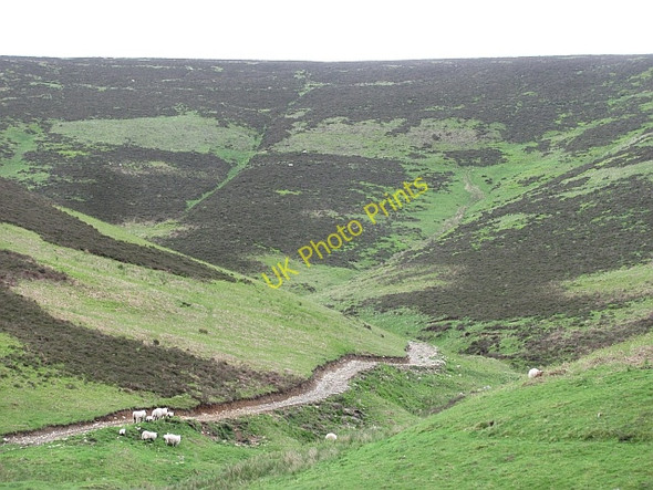 Photo 6"x4" Corgae Sike Holylee c2011