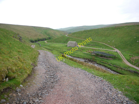 Photo 6"x4" Track below road near Seavy Rigg Helbeck c2011