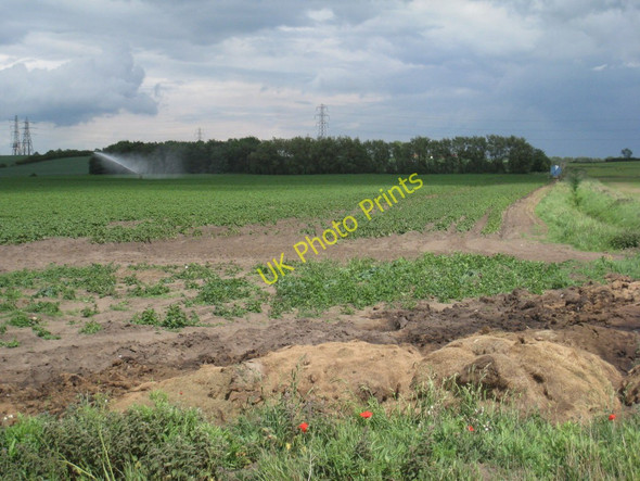 Photo 6"x4" Irrigating potatoes Scotterthorpe c2011