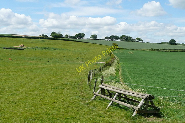 Photo 6"x4" On Gander Down Cheriton\/SU5828 c2011
