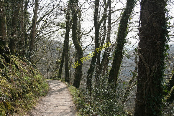 Photo 6"x4" Lydford: overlooking Lydford Gorge Lydford c2008