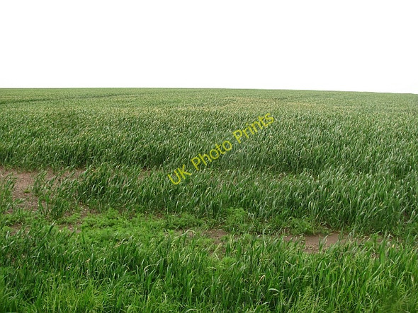 Photo 6"x4" Arable land near Monksholm Kincaple c2011