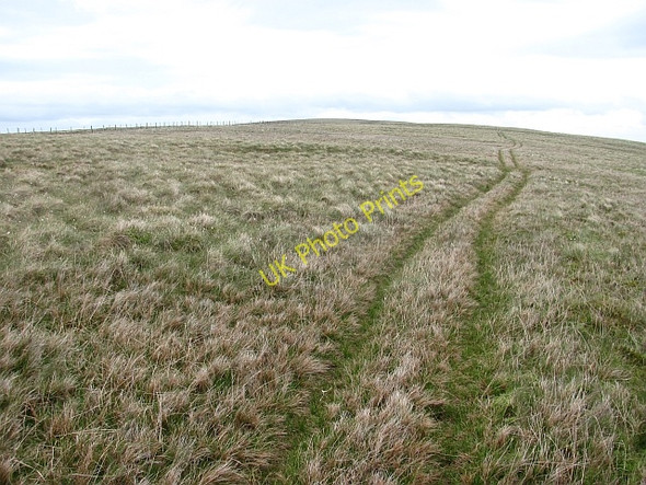 Photo 6"x4" On Windlestraw Law Bareback Knowe c2011