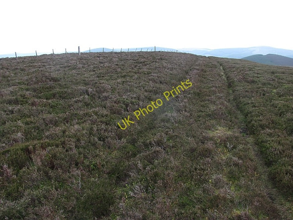 Photo 6"x4" Scawd Law Walkerburn c2011