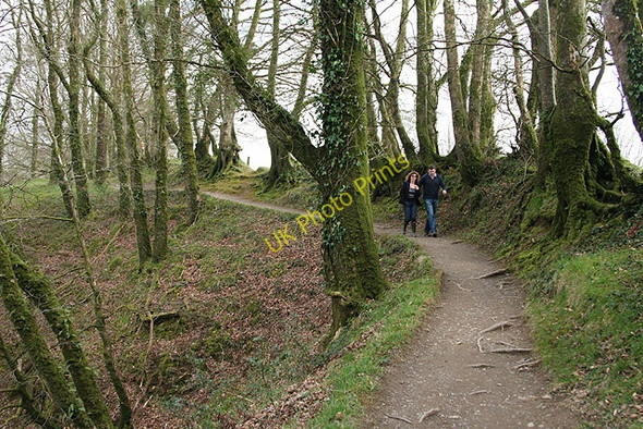 Photo 6"x4" Lydford: above Lydford Gorge 3 Lydford c2008