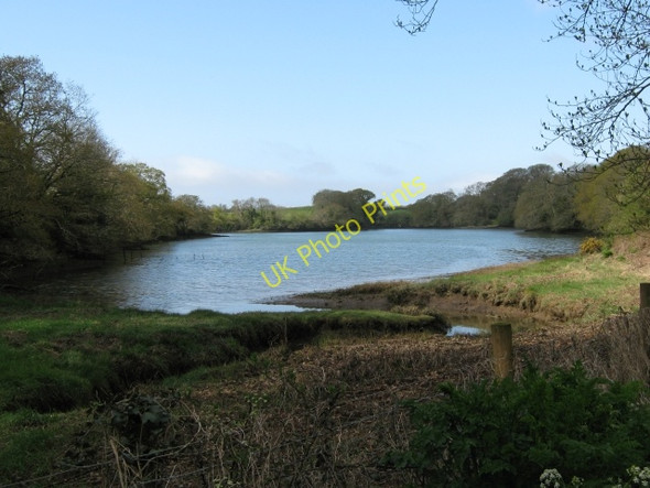 Photo 6"x4" Head of Wivelscombe Creek Saltash\/SX4258 c2008