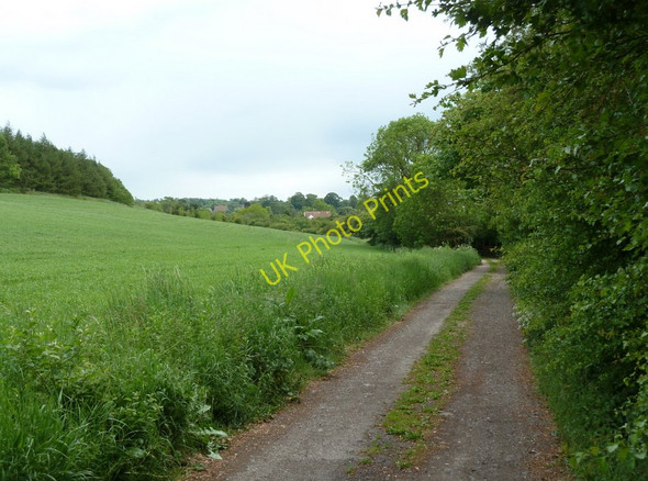 Photo 6"x4" Track towards Commonside Farm Emmett Carr c2011
