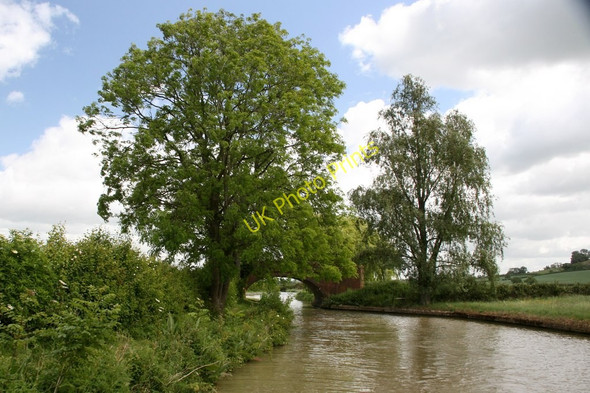 Photo 6"x4" The Grand Union Canal near Bridge 103 Lower Shuckburgh c2011