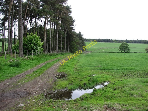 Photo 6"x4" Farm road, Falfield Largoward c2011
