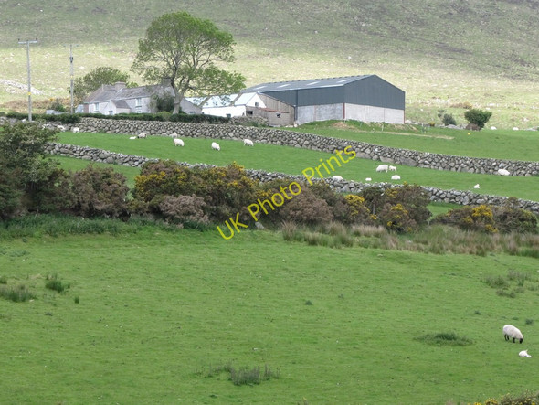 Photo 6"x4" Hill Farm above Sandy Brae Attical c2011