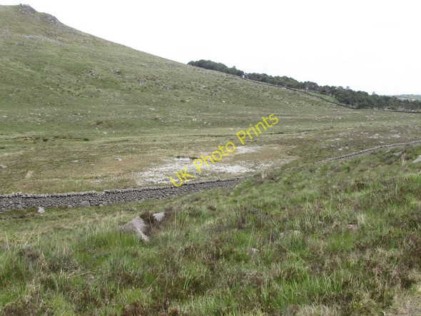 Photo 6"x4" Cotton grass in a boggy area alongside the Windy Gap River Attical c2011