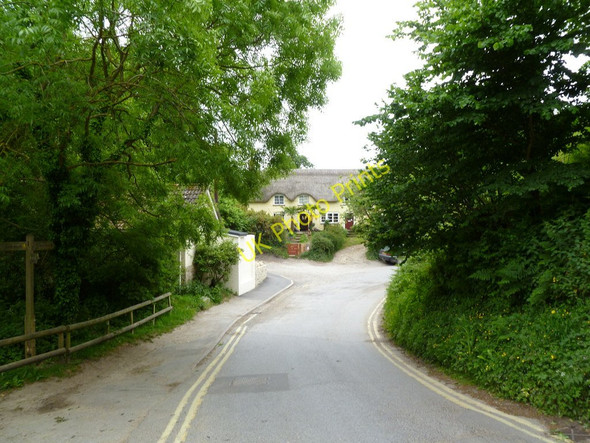 Photo 6"x4" Studland, thatched cottages Studland c2011