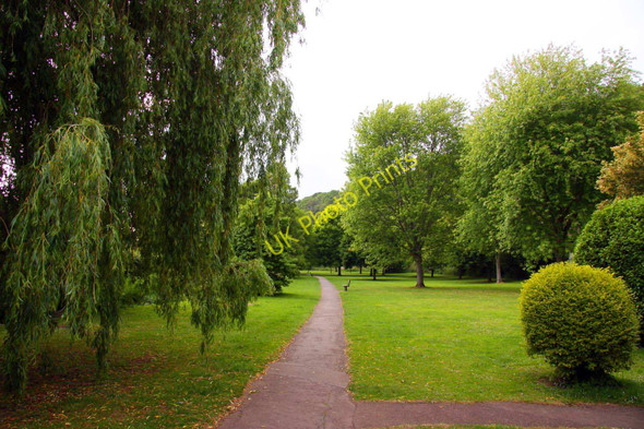 Photo 6"x4" Path through The Parks Minehead c2011