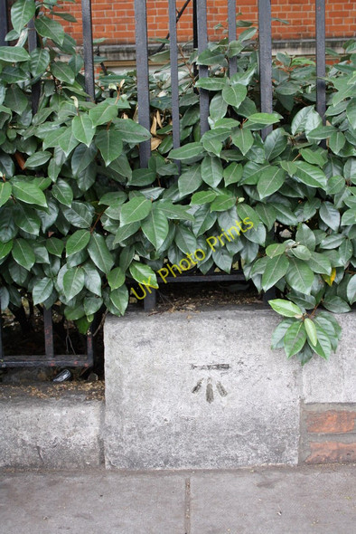 Photo 6"x4" Benchmark on wall of Ladbroke Hall, Barlby Road Kensal Town c2011
